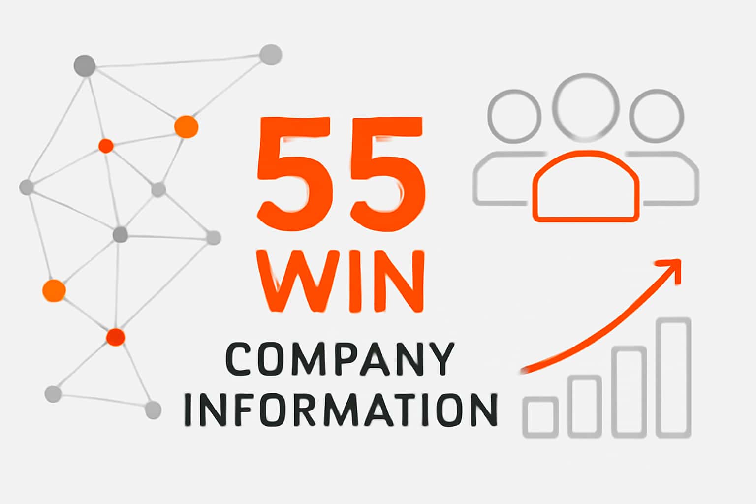 55 Win Company Information Interface